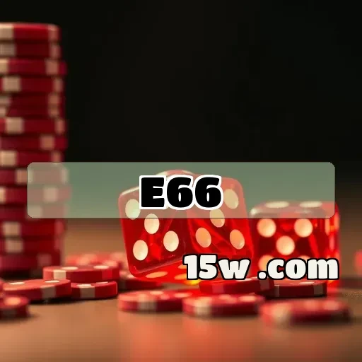 e66.com Suporte 24/7